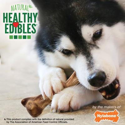 Golosinas para perros con sabor a jamón y hueso de caldo Healthy Edibles, grandes, 1 unidad