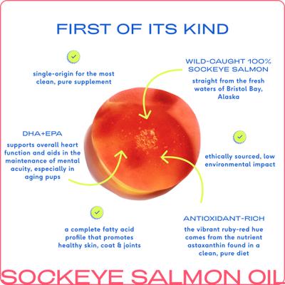 Native Pet, Sockeye Salmon Oil, Aceite Puro de Salmón Rojo de Alaska con Omega-3 para Piel, Pelaje, Corazón y Articulaciones, para Perros, 237 ml