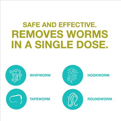 Quad Dewormer for Hookworms, Roundworms, Tapeworms & Whipworms for Large Breed Dogs, 2 count