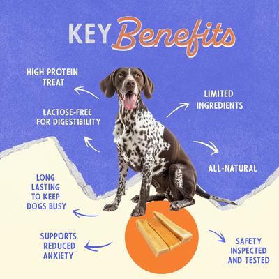 Premio grande de tocino para perros, paquete de 2