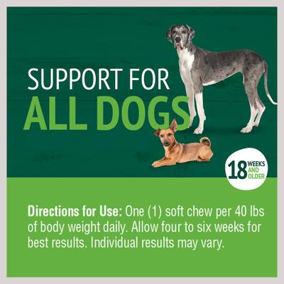 Hip & Joint Mega Max Soft Chews Dog Supplement, 90 count