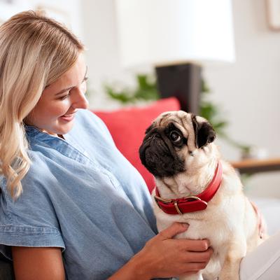 Galletas pequeñas originales para perros, caja de 1,5 lb, paquete de 2