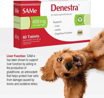 SAMe 200mg Tablet Liver & Joint Supplement for Dogs, 60 count