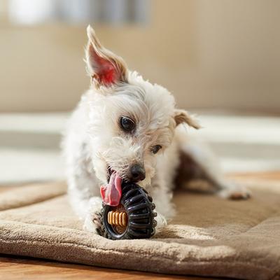 Everlasting Chicken Flavored Dental Dog Treats, Small, 2 count