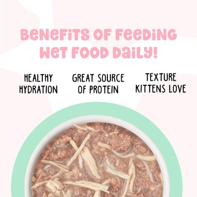 Kitten Cha Cha Cha Wet Cat Food, 2.8-oz can, case of 12