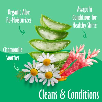 Toallitas húmedas para el cuidado de perros y gatos con té verde y awapuhi, 100 unidades