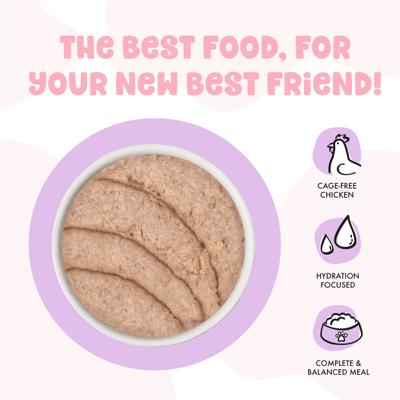 Kitten Cute to Boo Wet Cat Food, 2.8-oz can, case of 12