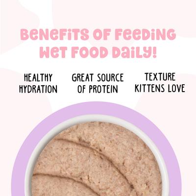 Kitten Cute to Boo Wet Cat Food, 2.8-oz can, case of 12