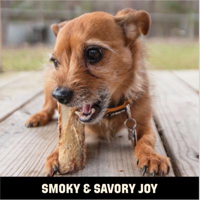 4-6-in Smoked Beef Rib Bones Dog Treat, 10 count