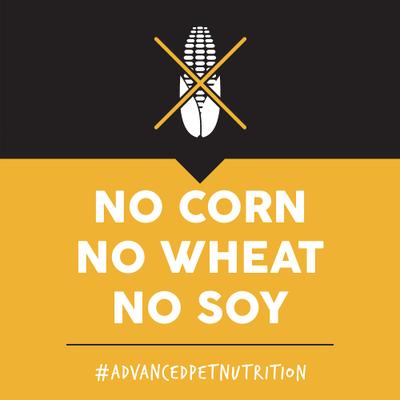 Alimento seco para perros Heartland Choice con pollo y patata, sin cereales, bolsa de 28 lb