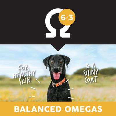 Heartland Choice Chicken & Potato Grain-Free Dry Dog Food, 28-lb bag