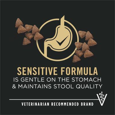 Small Breed Adult Sensitive Skin & Stomach Formula Dry Dog Food, 4-lb bag