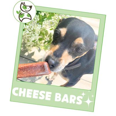 Cheese & Bacon Bar Bones Dog Chew Treats, 4 count