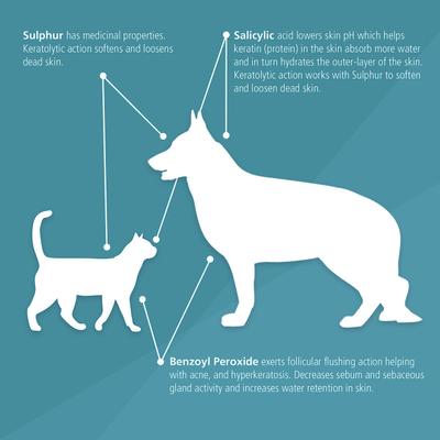 Chlorhexidine Antiseptic Dog & Cat Wipes, 70 count