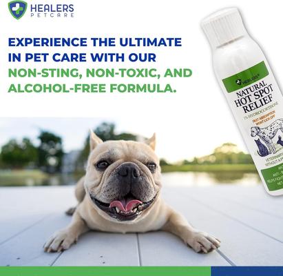 Petcare Hot Spot Relief Aid Dog & Cat Ointment, 4-oz bottle