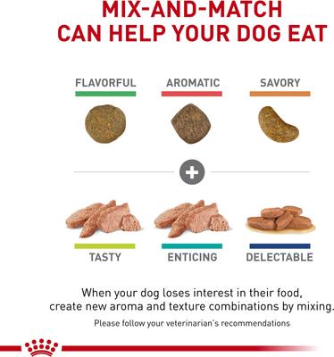 Adult Renal Support S Dry Dog Food, 6-lb bag