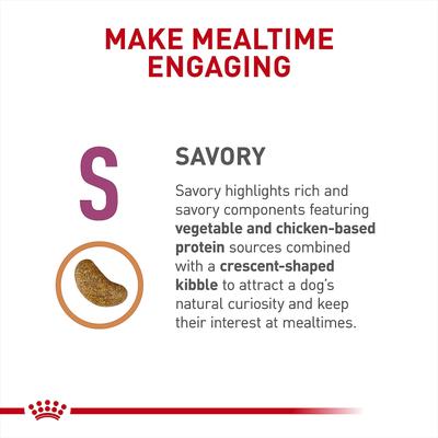 Adult Renal Support S Dry Dog Food, 6-lb bag