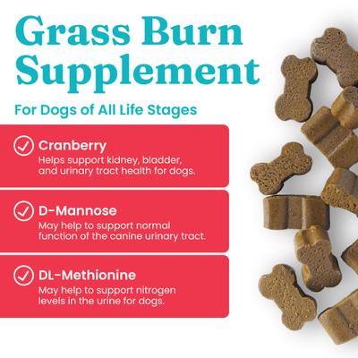 Grass Burn Lawn Protection Soft Chews Urine Neutralizer Supplement for Dogs, 120 count