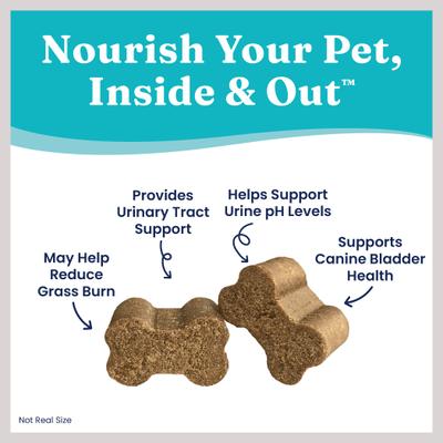 Grass Burn Lawn Protection Soft Chews Urine Neutralizer Supplement for Dogs, 120 count