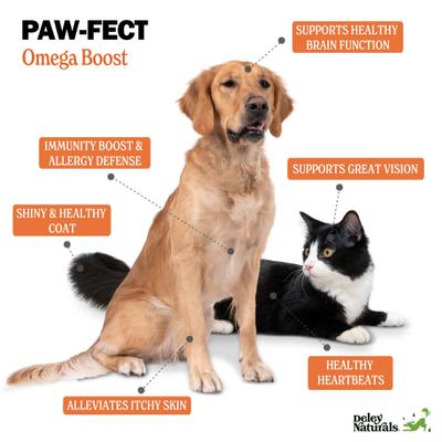 Wild Alaskan Salmon Oil + for Dogs & Cats, 16-fl oz bottle