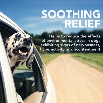 Comfort Calm Chicken Flavored Soft Chews Calming Supplement for Dogs, 30 count