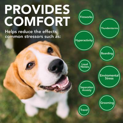 Comfort Calm Chicken Flavored Soft Chews Calming Supplement for Dogs, 30 count