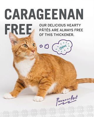 Chicky-Da-Lish, Salmon Chanted Evening and Tuna Fintastic Stew Variety Pack Canned Cat Food, 3-oz, case of 24