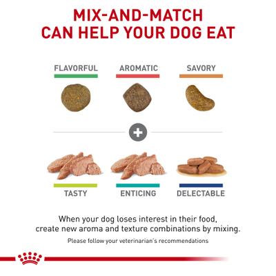 Alimento enlatado para perros Adult Renal Support E Loaf, 13.5 oz, caja de 24