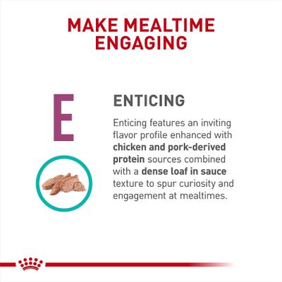 Alimento enlatado para perros Adult Renal Support E Loaf, 13.5 oz, caja de 24