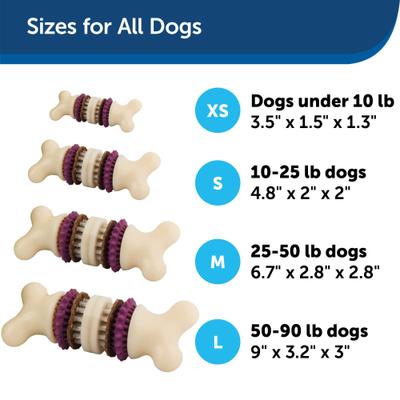 Bundle: Busy Buddy Bristle Bone Treat Dispenser Dog Chew Toy + Peanut Butter & Rawhide Variety Pack Refill Rings Dog Treat, 24 count