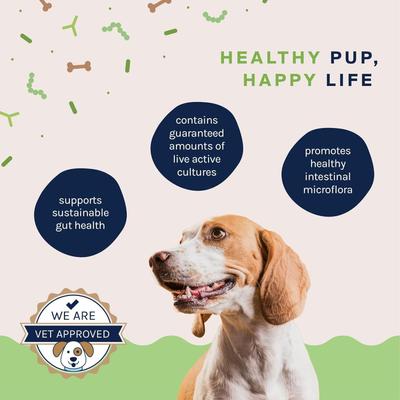 Probiotic Chew Supplement for Dogs, 30 count