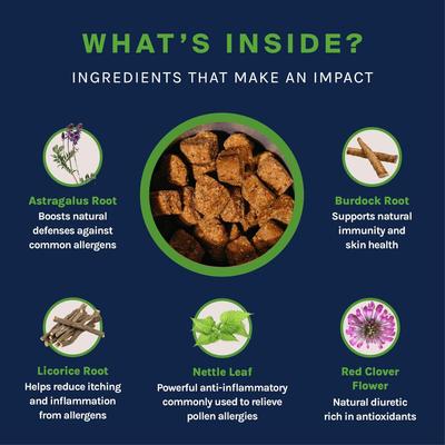 Allergy Support Chew Supplement for Dogs, 30 count