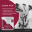 Cran Pup Advanced Urinary Tract Support Chicken Flavor Soft Chews Dog Supplement, 120 count