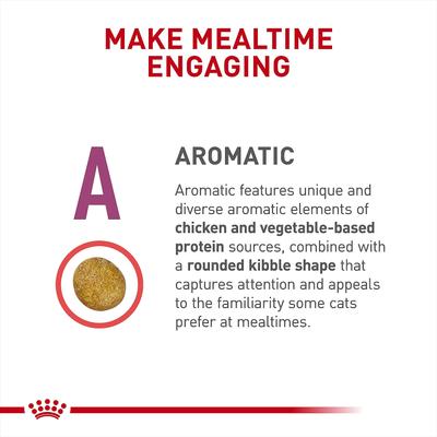 Alimento seco para gatos Adult Renal Support, bolsa de 6.6 lb