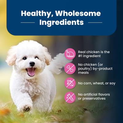 Life Protection Formula Small Breed Adult Chicken & Brown Rice Recipe Dry Dog Food, 15-lb bag