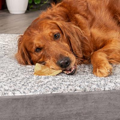 Beefhide Chips Peanut Butter Flavored Dog Hard Chews, 22-oz bag