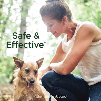 Flea & Tick Dog Shampoo