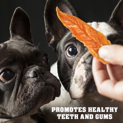 Chicken Jerky Slices Grain-Free High-Protein Natural Dog Treats, 1.5-lb bag