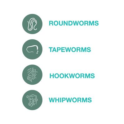 Quad Dewormer for Hookworms, Roundworms, Tapeworms & Whipworms for Medium Breed Dogs, 2 count