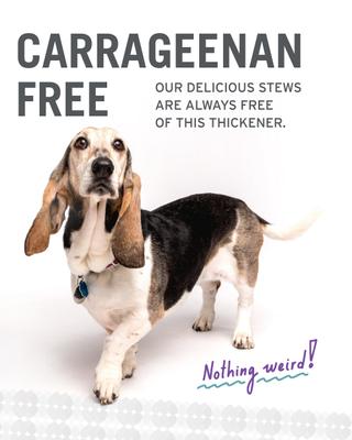 Cluckin' Good and Gobble it Up Stew Grain-Free Combo Pack Canned Dog Food, 13-oz, case of 6