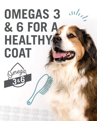 Cluckin' Good and Gobble it Up Stew Grain-Free Combo Pack Canned Dog Food, 13-oz, case of 6