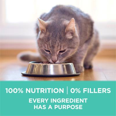 Alimento seco digestivo natural para gatos adultos con piel y estómago sensibles Plus, bolsa de 16 lb