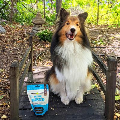 Better Burg'r Plant-Based Dog Treats, 6-oz bag