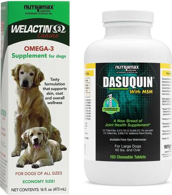 Bundle: Nutramax Welactin Canine Omega-3 Liquid + Dasuquin with MSM Joint Health Chewable Tablets Large Dog Supplement