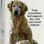Bundle: Nutramax Welactin Canine Omega-3 Liquid + Dasuquin with MSM Joint Health Chewable Tablets Large Dog Supplement