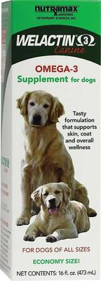 Bundle: Nutramax Welactin Canine Omega-3 Liquid + Dasuquin with MSM Joint Health Chewable Tablets Large Dog Supplement
