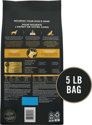 Bright Mind Adult 7+ Small Breed Formula Dry Dog Food, 5-lb bag