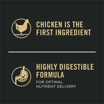 Bright Mind Adult 7+ Small Breed Formula Dry Dog Food, 5-lb bag