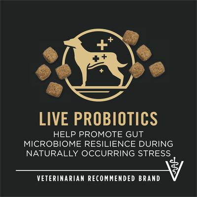 Bright Mind Adult 7+ Small Breed Formula Dry Dog Food, 5-lb bag