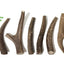 Medium Deer Antler Dog Treats